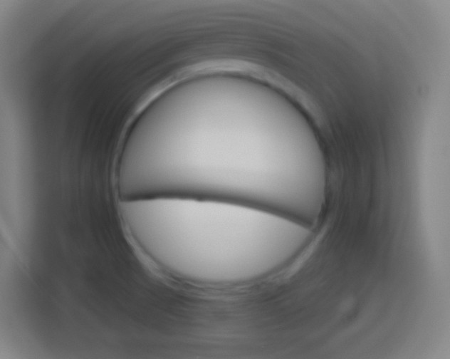 X0000114181521200910081123