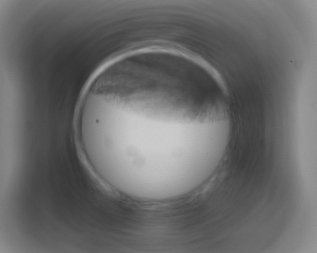 X0000114181522200910081123