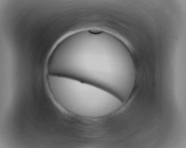 X0000114181526200910081123