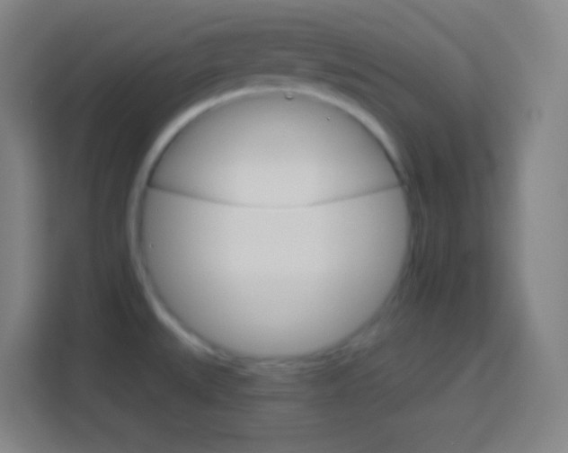 X0000114181527200910081123