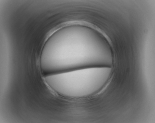 X0000114181529200910081123