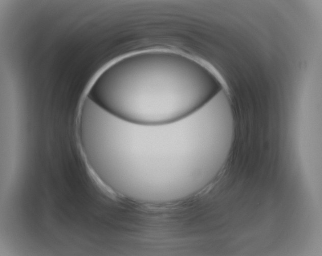 X0000114181532200910081123