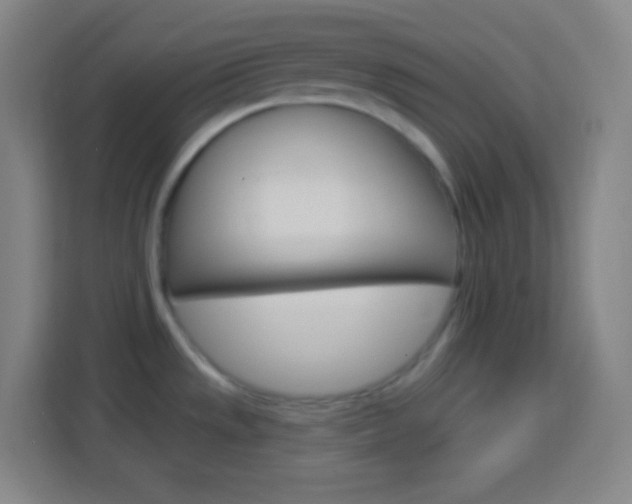 X0000114181533200910081123