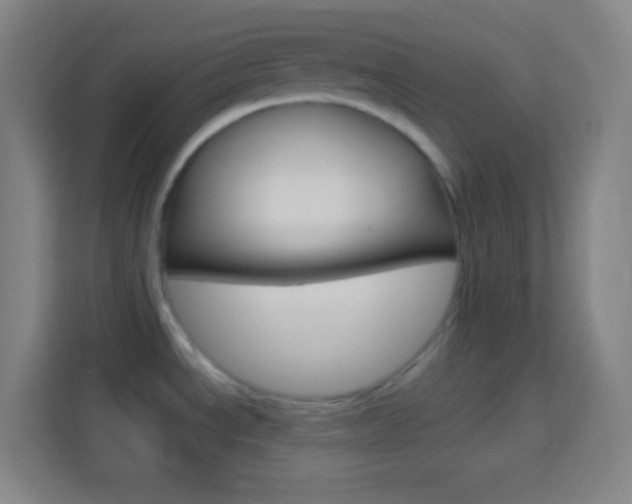 X0000114181534200910081123
