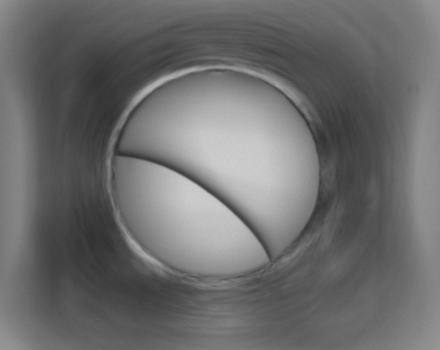 X0000114181535200910081123