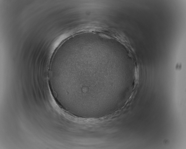 X0000114180003200910081510