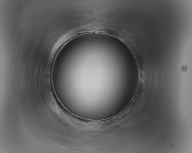 X0000114180004200910081510