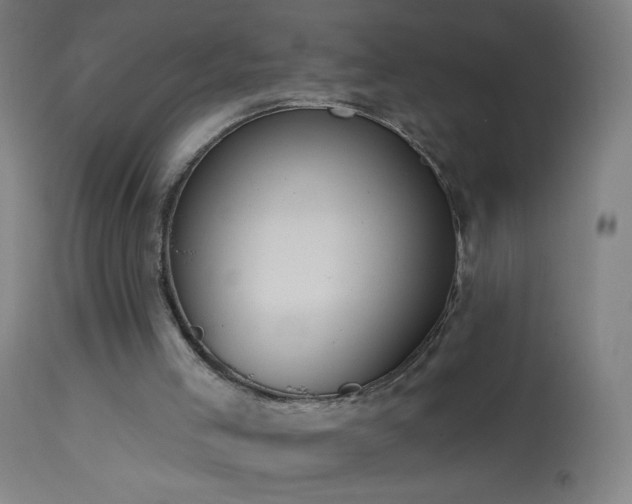 X0000114180005200910081510