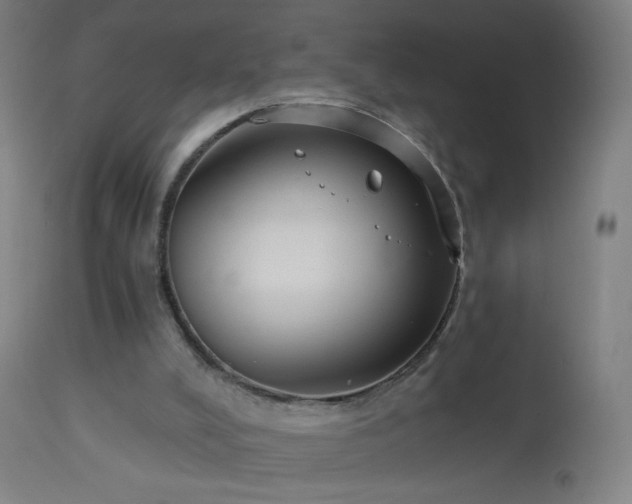 X0000114180008200910081510