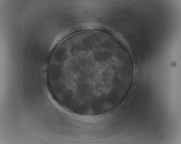 X0000114180010200910081510