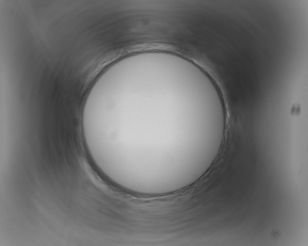X0000114180013200910081510