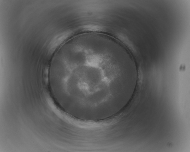 X0000114180014200910081510