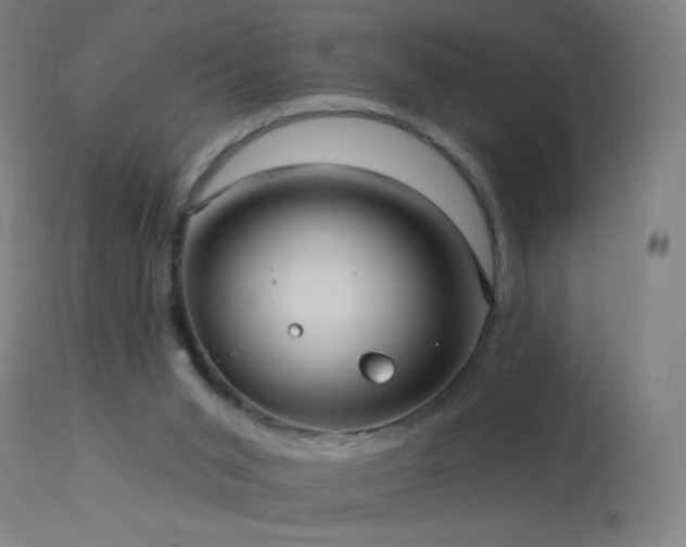 X0000114180015200910081509
