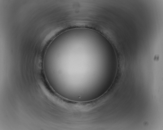 X0000114180016200910081509