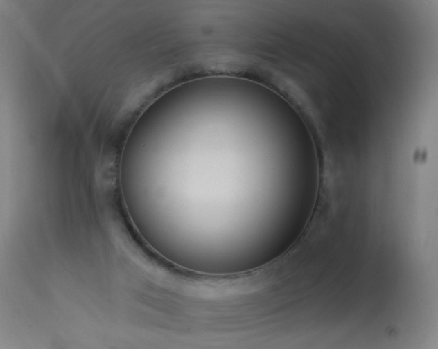 X0000114180017200910081509