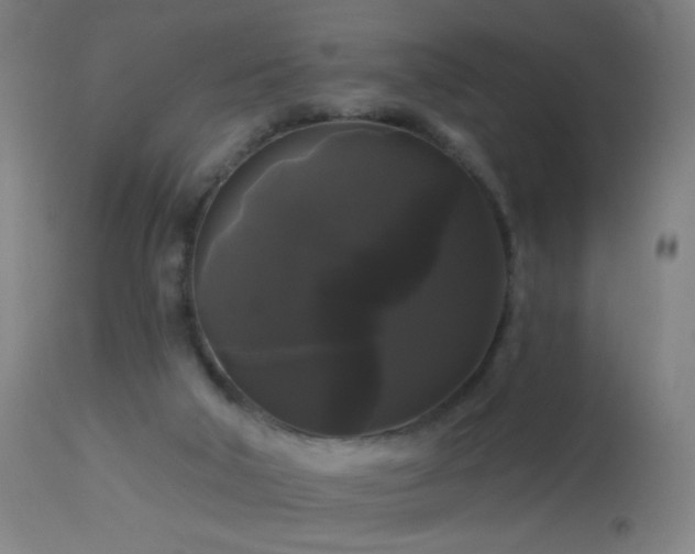 X0000114180018200910081509