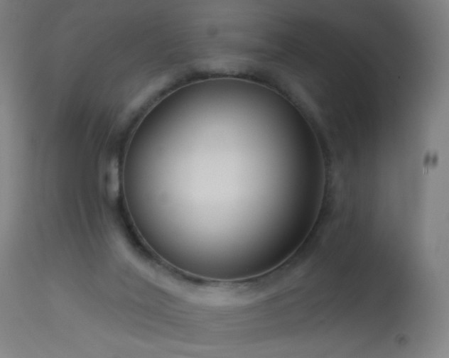 X0000114180020200910081509
