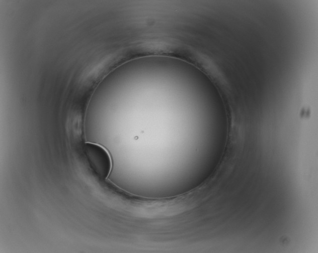X0000114180021200910081509