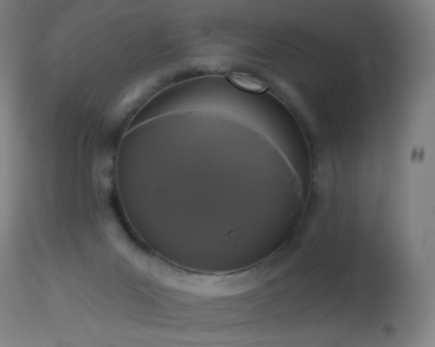 X0000114180023200910081509