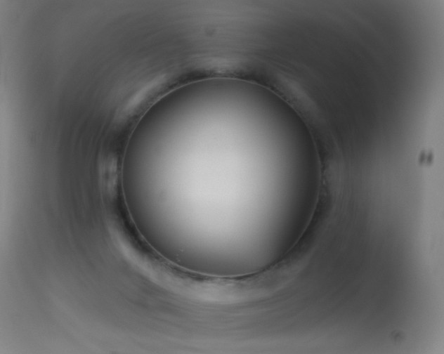 X0000114180024200910081509