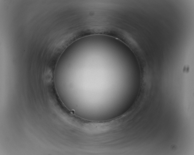 X0000114180025200910081509