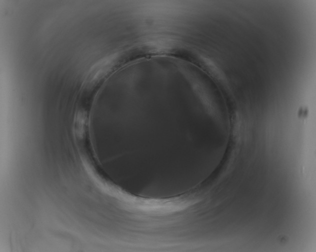 X0000114180026200910081509