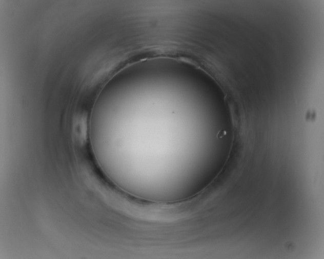 X0000114180028200910081509