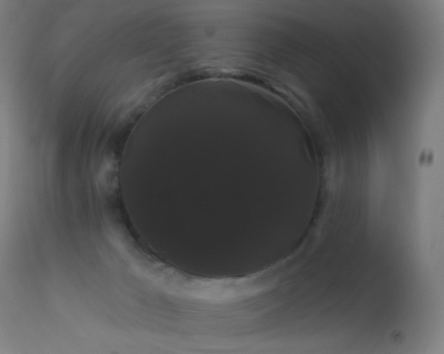 X0000114180029200910081509
