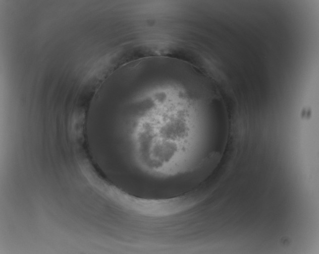 X0000114180030200910081509