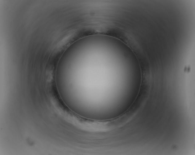 X0000114180032200910081509