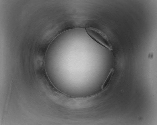 X0000114180033200910081509