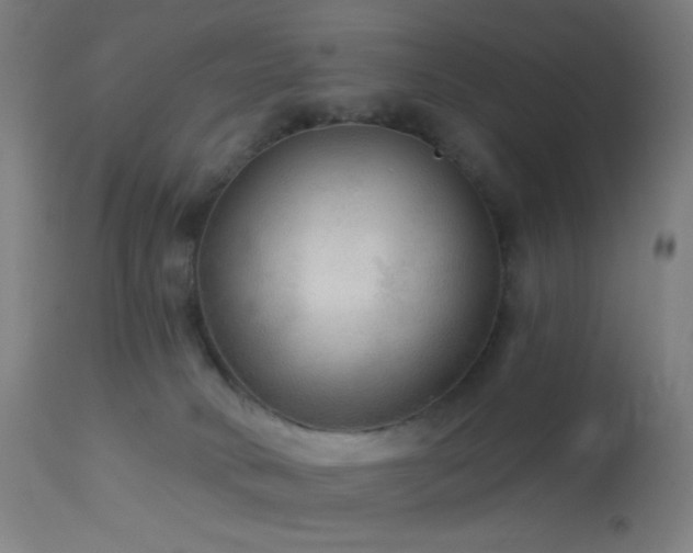 X0000114180034200910081509