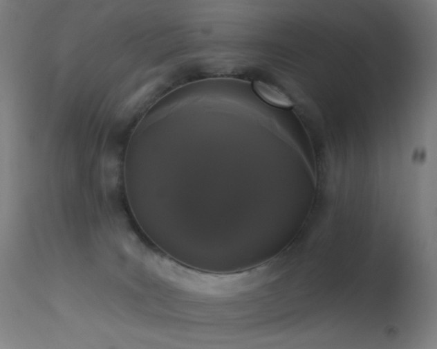 X0000114180035200910081509