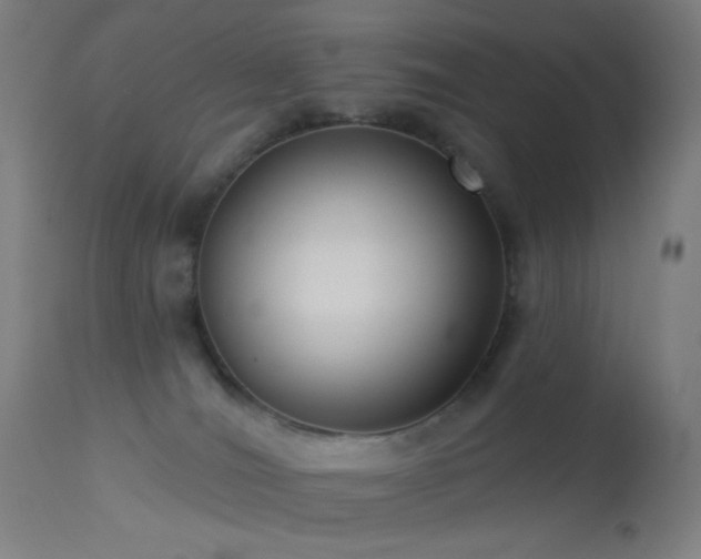 X0000114180036200910081509