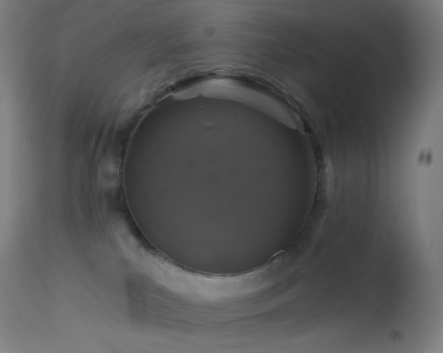 X0000114180039200910081509