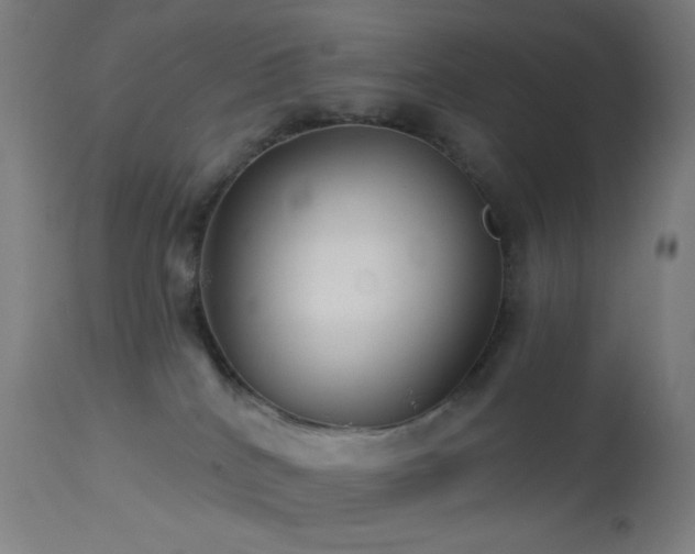 X0000114180040200910081509