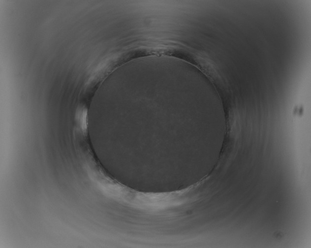 X0000114180041200910081509