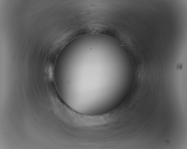 X0000114180042200910081509