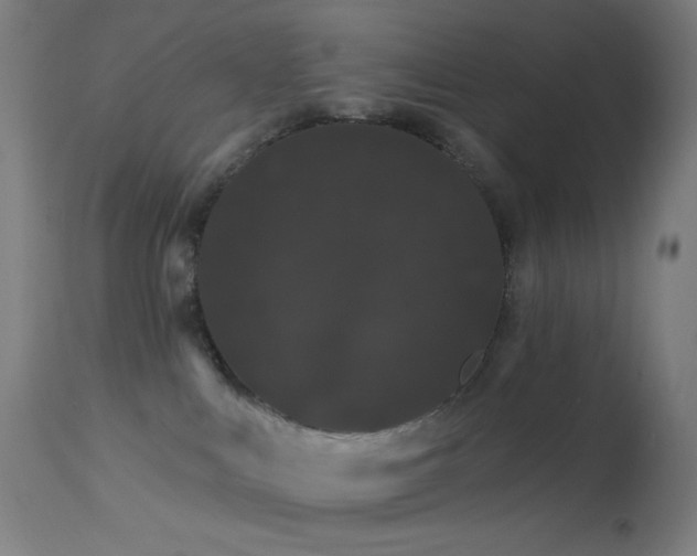 X0000114180043200910081509