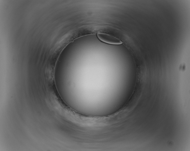 X0000114180044200910081509