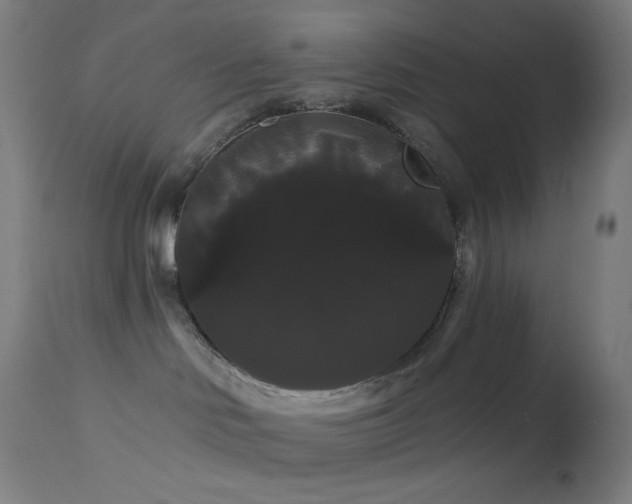 X0000114180046200910081509