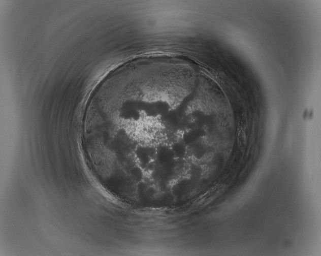 X0000114180049200910081508