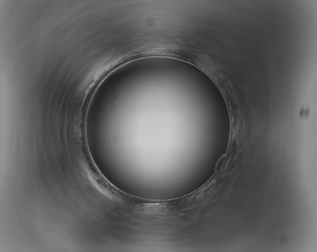 X0000114180050200910081508