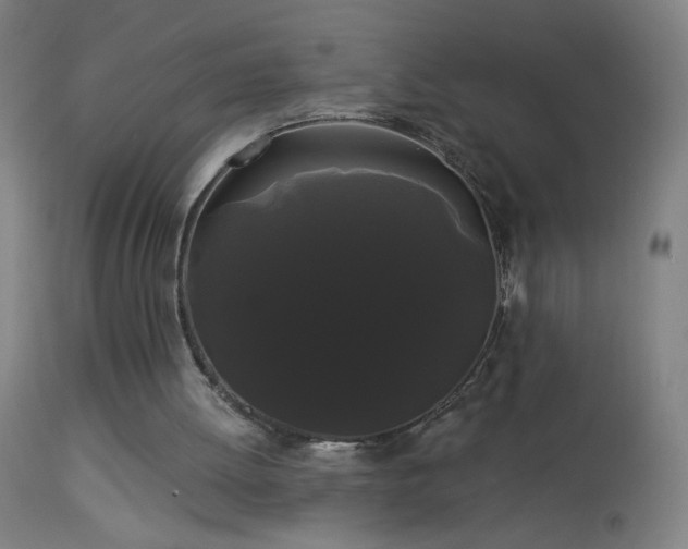 X0000114180052200910081508