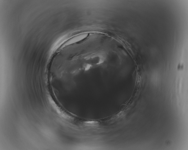 X0000114180053200910081508