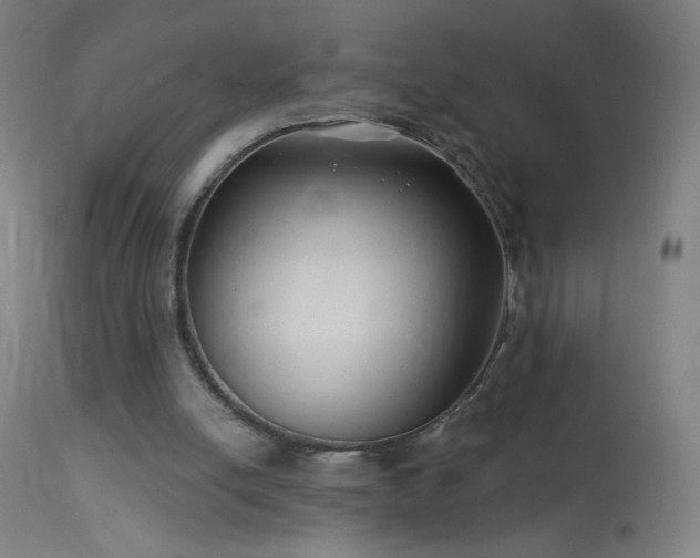 X0000114180054200910081508