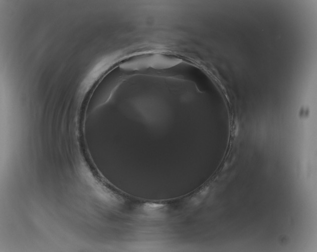 X0000114180055200910081508
