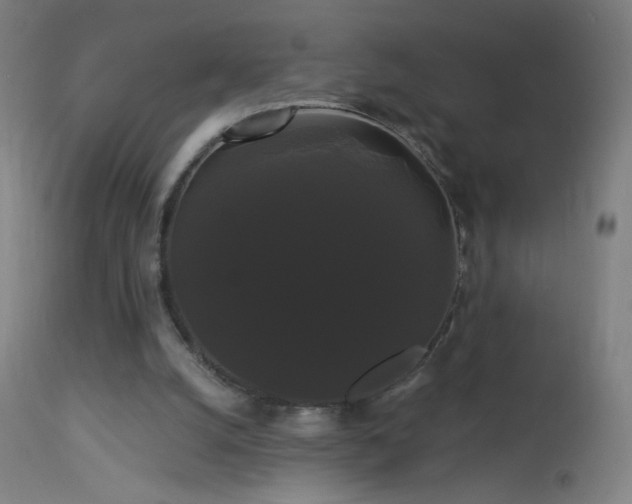 X0000114180056200910081508