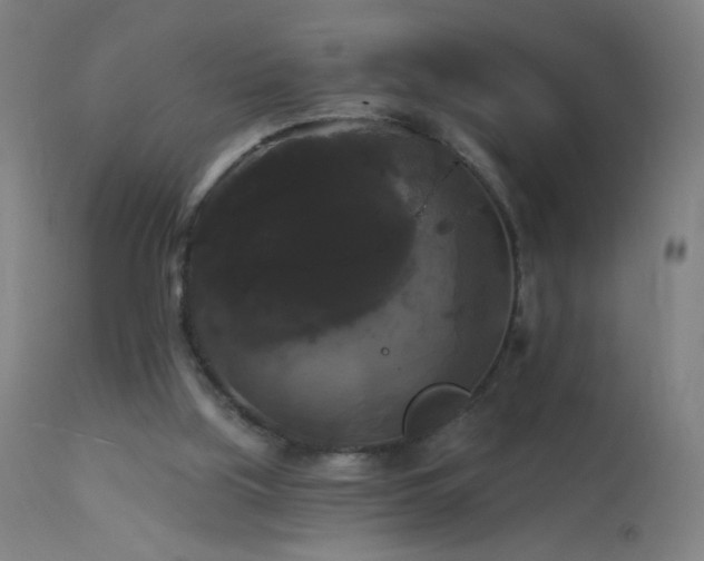 X0000114180059200910081508