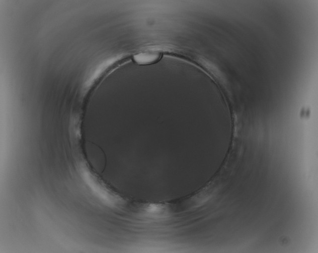 X0000114180060200910081508